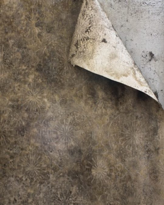 humidite mur humidite mur