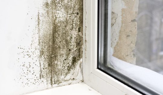 humidite mur humide humidite mur humide